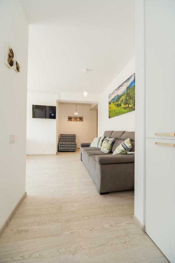Schiller Apartment 57 - Free Private Parking Брашов Екстер'єр фото