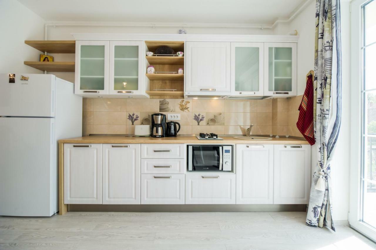Schiller Apartment 57 - Free Private Parking Брашов Екстер'єр фото