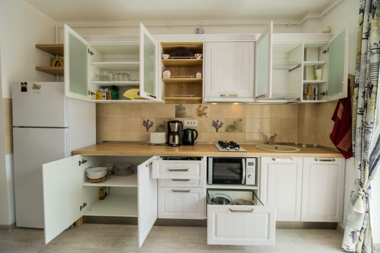 Schiller Apartment 57 - Free Private Parking Брашов Екстер'єр фото