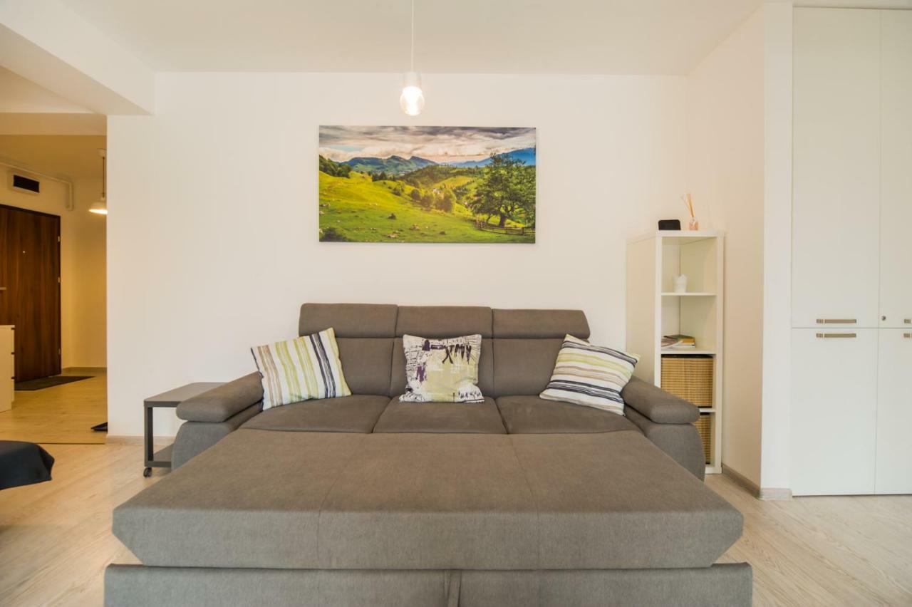 Schiller Apartment 57 - Free Private Parking Брашов Екстер'єр фото
