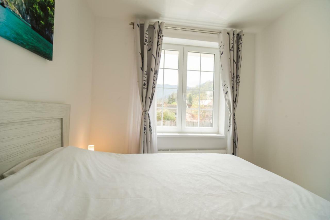 Schiller Apartment 57 - Free Private Parking Брашов Екстер'єр фото
