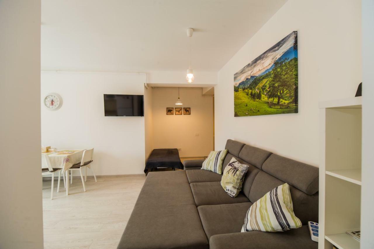 Schiller Apartment 57 - Free Private Parking Брашов Екстер'єр фото