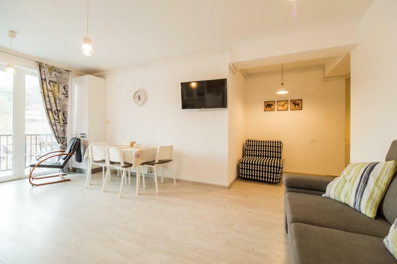 Schiller Apartment 57 - Free Private Parking Брашов Екстер'єр фото